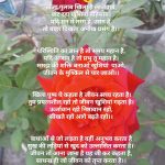 ताजा गुलाब