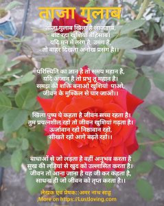 ताजा गुलाब, new rose