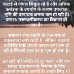 विश्व मरुस्थलीकरण और सुखा रोकथाम दिवस
