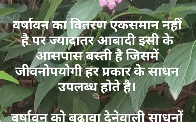 विश्व वर्षावन दिवस