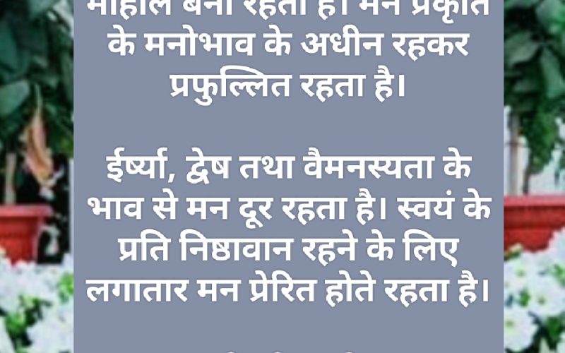 अंतर्राष्ट्रीय सदगी दिवस