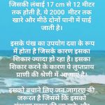 अंतर्राष्ट्रीय शार्क जागरुकता दिवस
