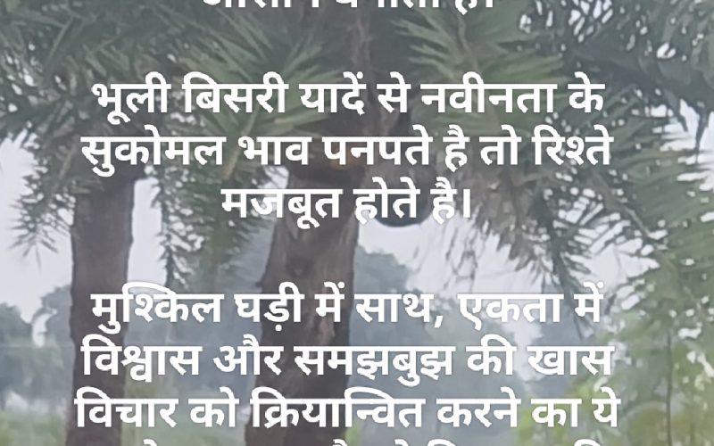 राष्ट्रीय चचेरे भाई-बहन दिवस