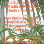 राष्ट्रीय मत्स्य किसान दिवस