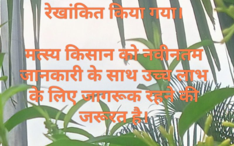 राष्ट्रीय मत्स्य किसान दिवस