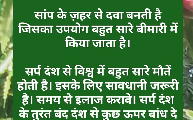 विश्व सर्प दिवस