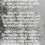 राष्ट्रीय रम दिवस