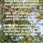 राष्ट्रीय हथकरधा दिवस