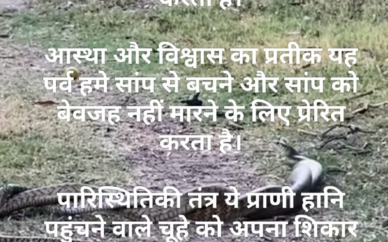 नाग पंचमी