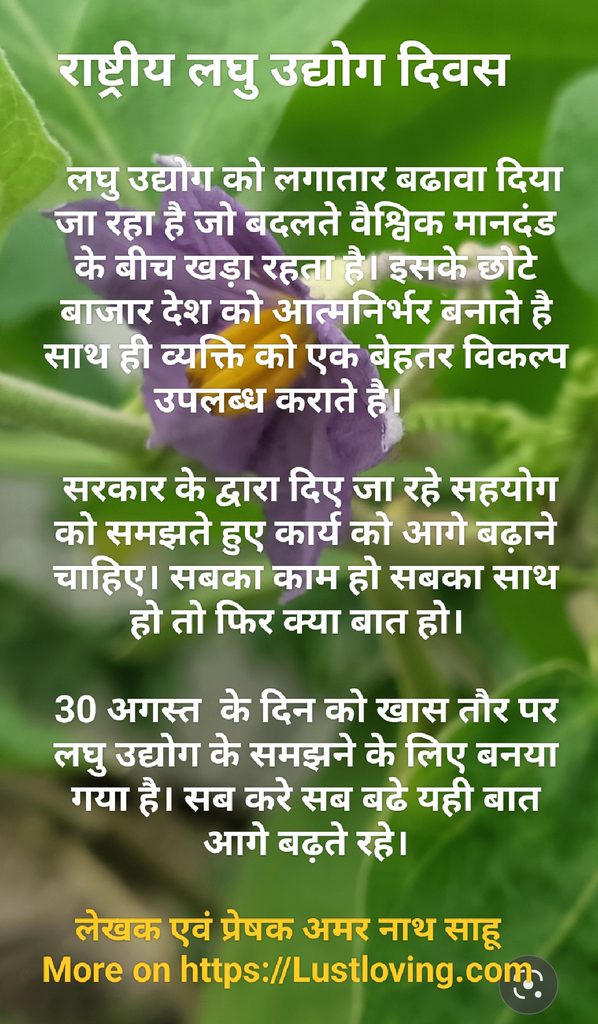 राष्ट्रीय लघु उद्योग दिवस