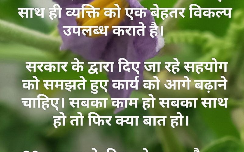राष्ट्रीय लघु उद्योग दिवस
