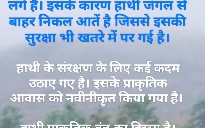 विश्व हाथी दिवस