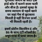 राष्ट्रीय मूंगफली दिवस