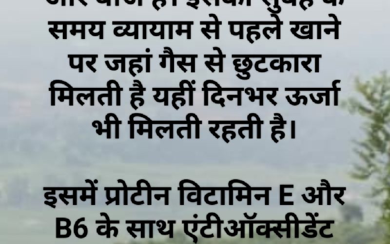 राष्ट्रीय मूंगफली दिवस