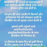 विश्व ओजोन दिवस