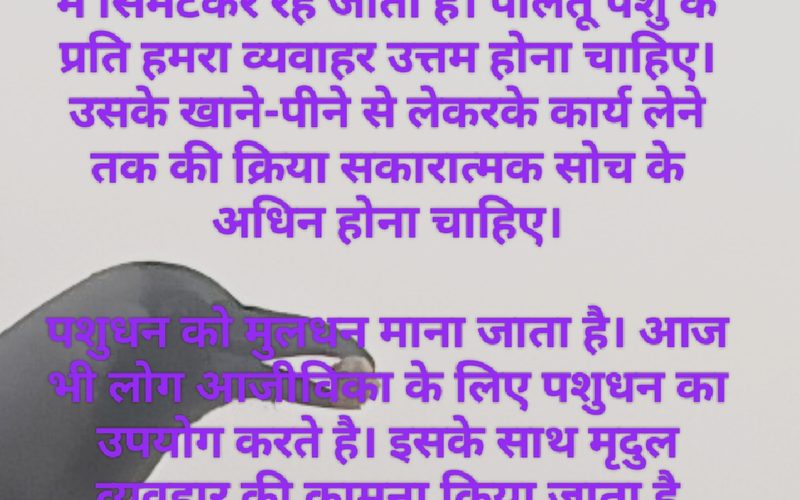 विश्व पशु दिवस