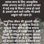 विश्व फर्म एनिमल डे