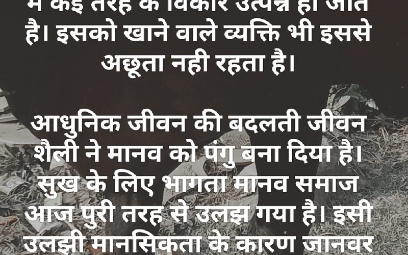विश्व फर्म एनिमल डे