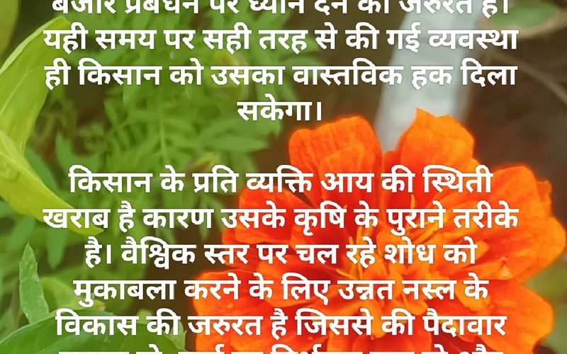 राष्ट्रीय किसान दिवस